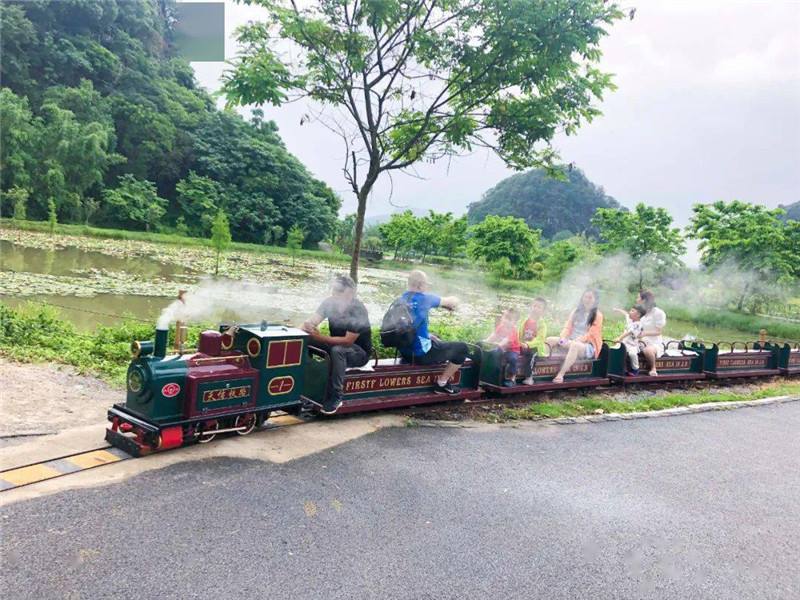 田園鄉(xiāng)村觀光小火車造價多少錢？