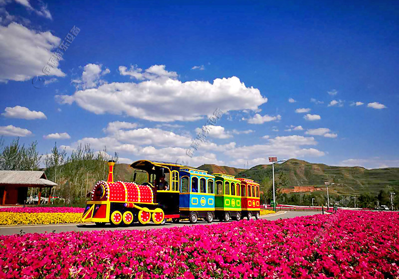 觀光火車與你共赴愛(ài)琴花海？